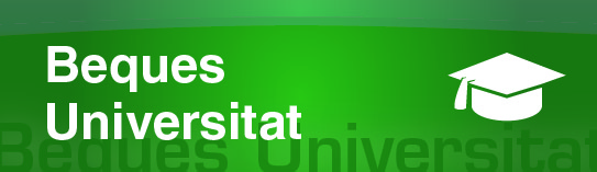 Becas Universidad